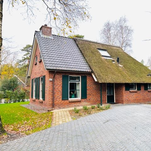 Bungalow 6 personen - Stuifzand Wellness Outdoor Deluxe met Bedstee