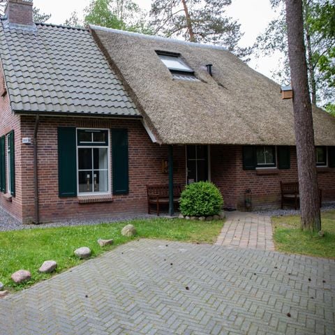 Bungalow 6 personen - Stuifzand met Bedstee