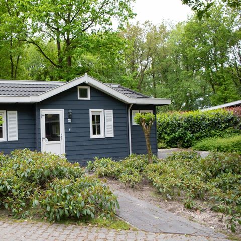 Landgoed Het Grote Zand - Camping Midden-Drenthe - Afbeelding N°5