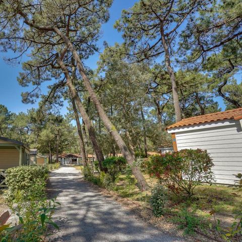 Domaine de la Presqu'île - Camping Vendée - Afbeelding N°2