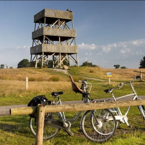 Buitenplaats de Hildenberg - Camping Ooststellingwerf - Afbeelding N°3