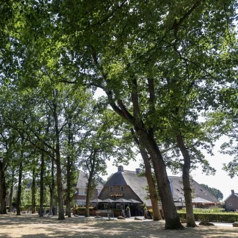 Buitenplaats de Hildenberg - Camping Ooststellingwerf - Afbeelding N°6