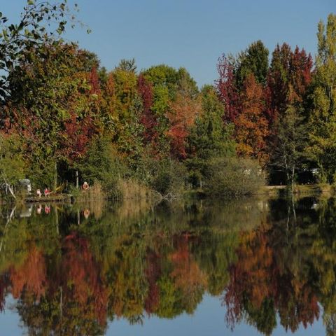 Camping Sunelia l'Etang de Sologne - Camping Loir-et-Cher - Afbeelding N°2