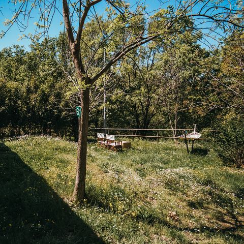 Safaritent 6 personen - Garden