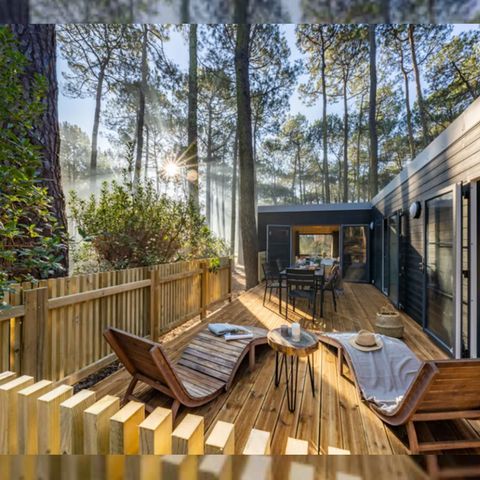 Tiny House 6 personen - Tiny huis Confort - 3 slaapkamers - 2 badkamers met douche