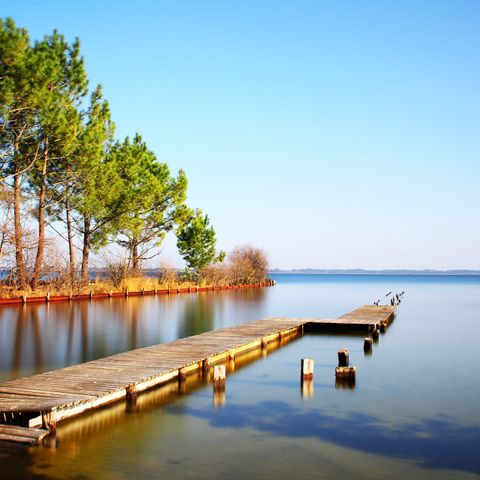  Camping Le Tedey - Camping Gironde - Afbeelding N°4