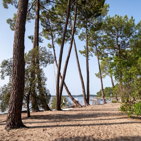  Camping Le Tedey - Gironde - Afbeelding N°4