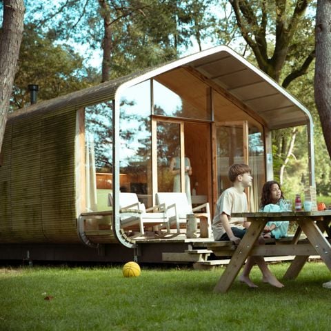 Beerze Bulten - Camping Ommen - Afbeelding N°6