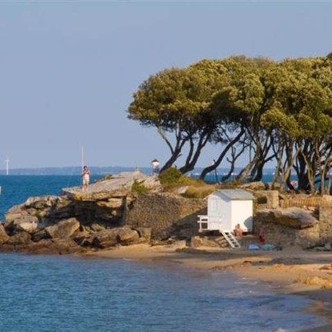 TLC Vacances Noirmoutier - Camping Vendée - Afbeelding N°5