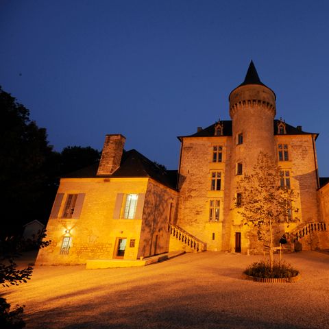 Vacances ULVF Le Domaine de Pelvezy - Camping Dordogne - Afbeelding N°3