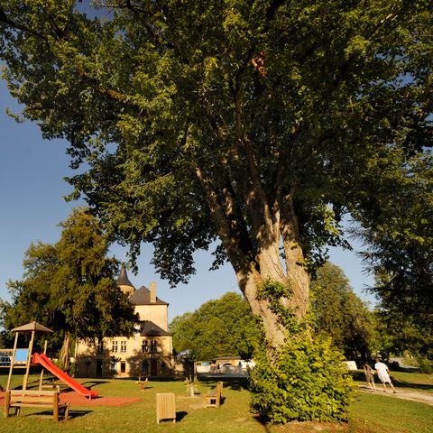 Vacances ULVF Le Domaine de Pelvezy - Camping Dordogne - Afbeelding N°6