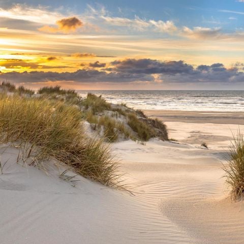 UNIEKE ACCOMMODATIE 4 personen - Aqua Lodge