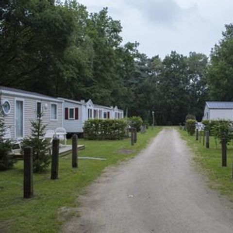 Floreal Holidays Camping Het Veen - Camping West-Vlaanderen - Afbeelding N°4