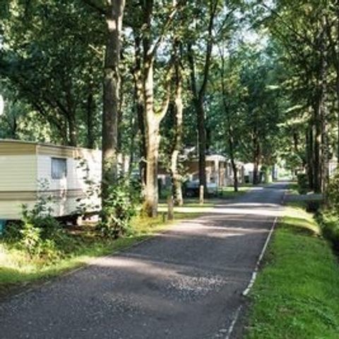 Floreal Holidays Camping Het Veen - Camping West-Vlaanderen - Afbeelding N°3