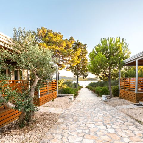 Camp Ljutic - Camping Zadar - Afbeelding N°5