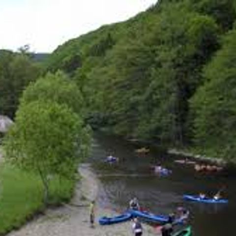 Camping Floreal Le Festival - Camping Belgisch-Luxemburg - Afbeelding N°4