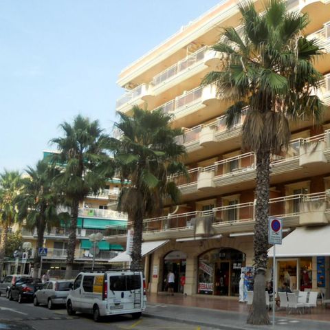 Apartamentos Palas by Viajes Velero - Salou - Camping Tarragona - Afbeelding N°3