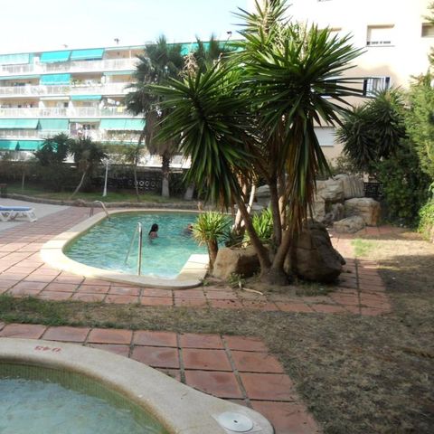 Apartamentos Palas by Viajes Velero - Salou - Camping Tarragona - Afbeelding N°2