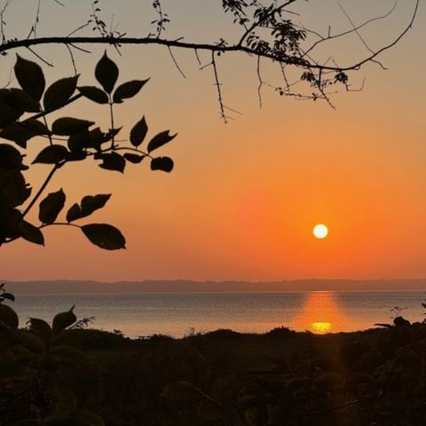 Vodatent Rosenvold Strand Camping - Jutland-Central - Afbeelding N°6