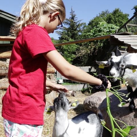 Vodatent Rosenvold Strand Camping - Jutland-Central - Afbeelding N°3