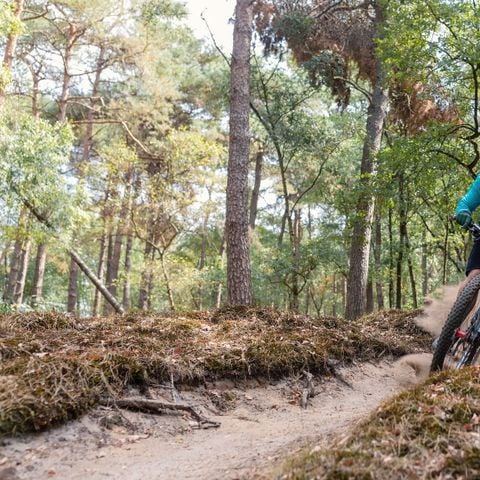 VAKANTIEHUIS 12 personen - De Elster Lifestyle