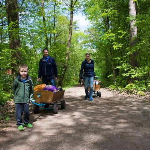 Chalet 4 personen - Just Nature Light