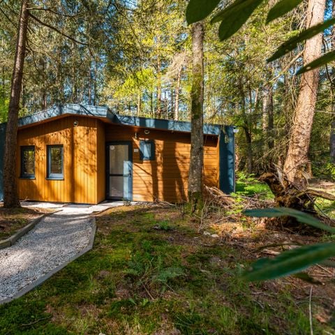 Chalet 6 personen - Zandborg lodge