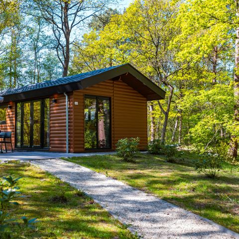 Chalet 4 personen - Sterrenborg lodge