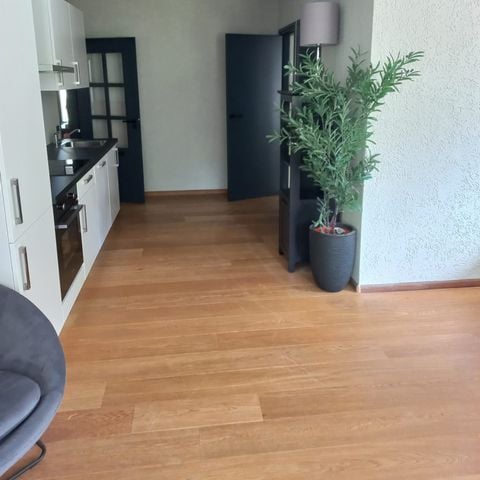 VAKANTIEHUIS 10 personen - De Havezate met Sauna