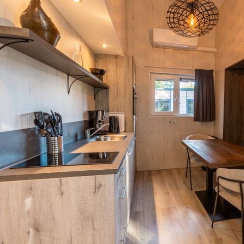 UNIEKE ACCOMMODATIE 4 personen - Tiny Borg