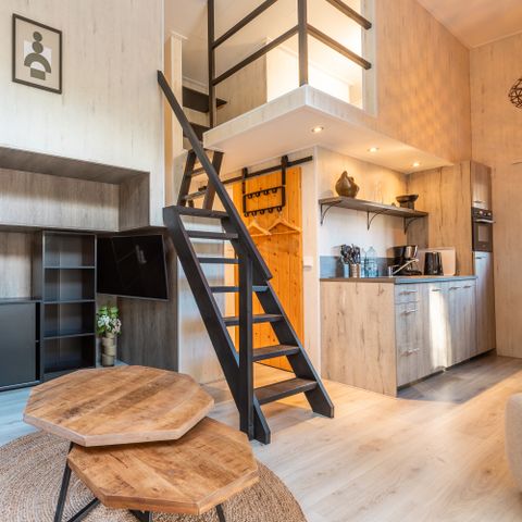 UNIEKE ACCOMMODATIE 4 personen - Tiny Borg