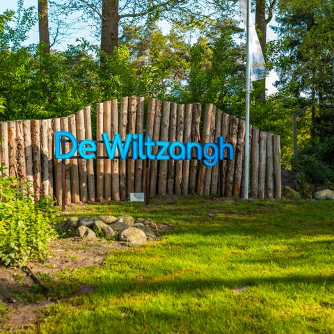 Vakantiepark De Wiltzangh - Camping De Wolden - Afbeelding N°6