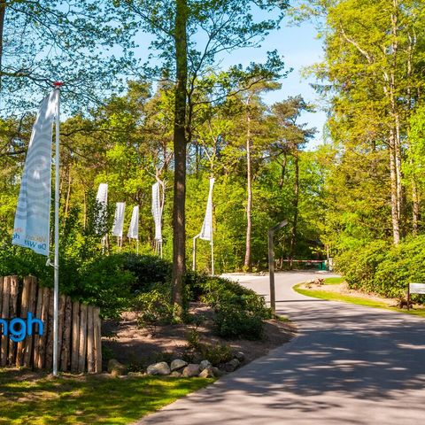 Vakantiepark De Wiltzangh - Camping De Wolden - Afbeelding N°5