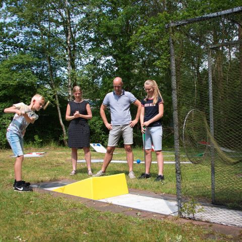 Vakantiepark De Wiltzangh - Camping De Wolden - Afbeelding N°5