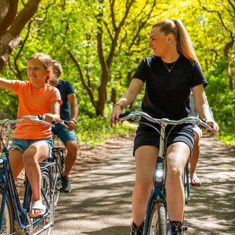 Vakantiepark De Wiltzangh - Camping De Wolden - Afbeelding N°4