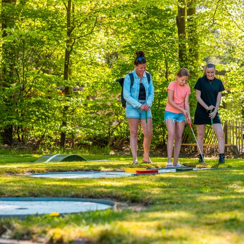 Vakantiepark De Wiltzangh - Camping De Wolden - Afbeelding N°3