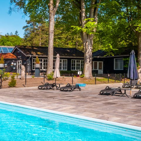 Vakantiepark De Wiltzangh - Camping De Wolden - Afbeelding N°2