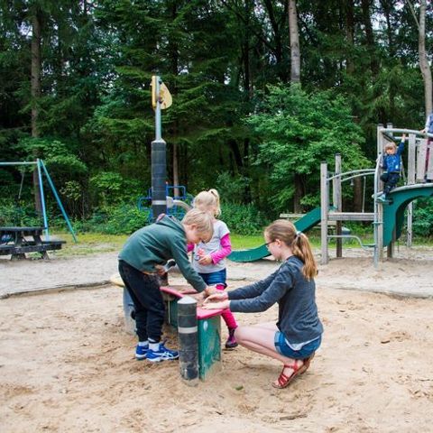 Vakantiepark De Wiltzangh - Camping De Wolden - Afbeelding N°3