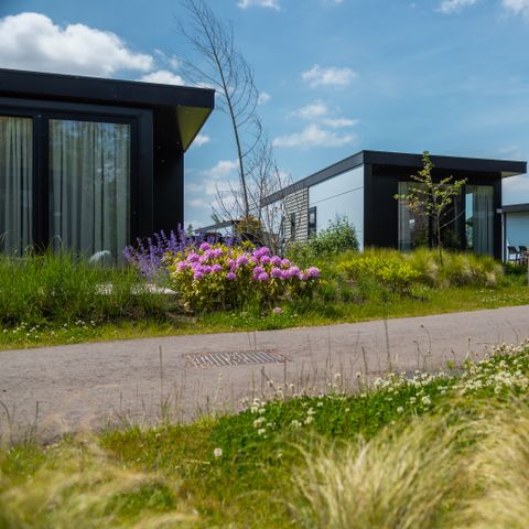 Lodge 5 personen - Rietland