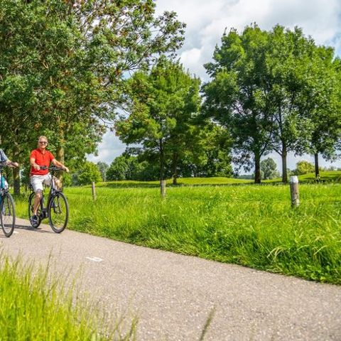 Vakantiepark Aan de Maas - Camping Maasdriel - Afbeelding N°6