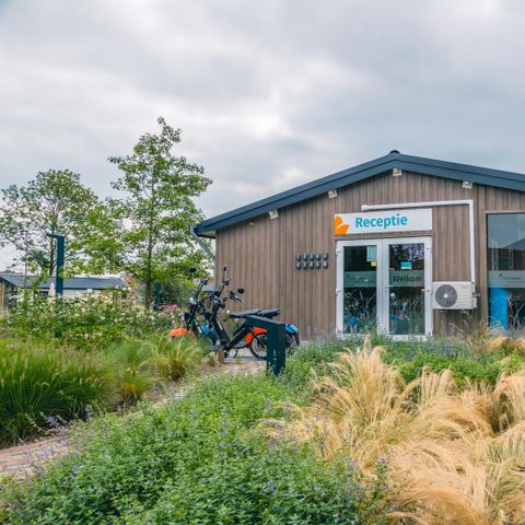 Vakantiepark Aan de Maas - Camping Maasdriel - Afbeelding N°2