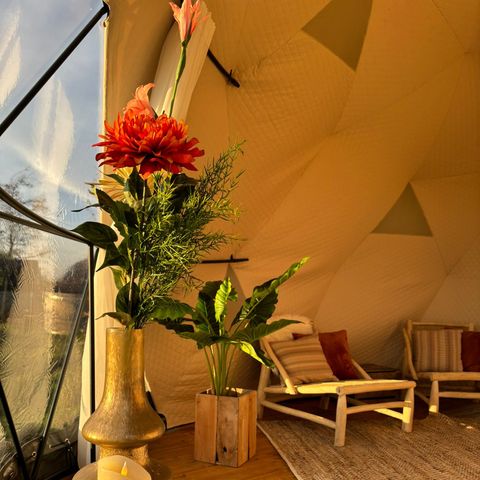 TinyParks Tiengemeten - Camping Hoeksche Waard - Afbeelding N°2
