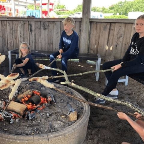 Vodatent Toftum Bjerge Camping - Camping Jutland-Central - Afbeelding N°5