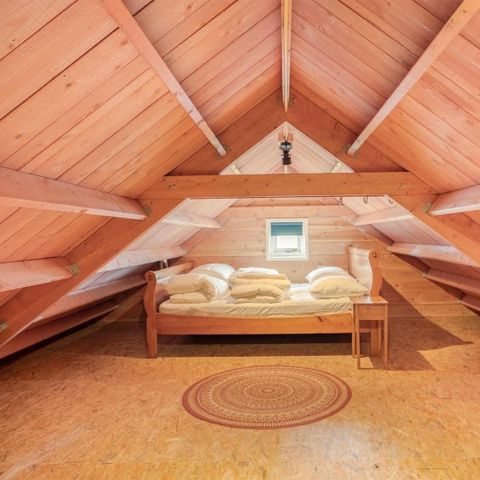 UNIEKE ACCOMMODATIE 4 personen - Boshuisje Struikheide