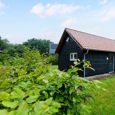 VAKANTIEHUIS 4 personen - Boshuisje Luna