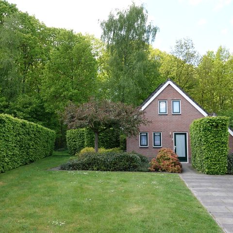 Bungalow 6 personen - Jeneverbes