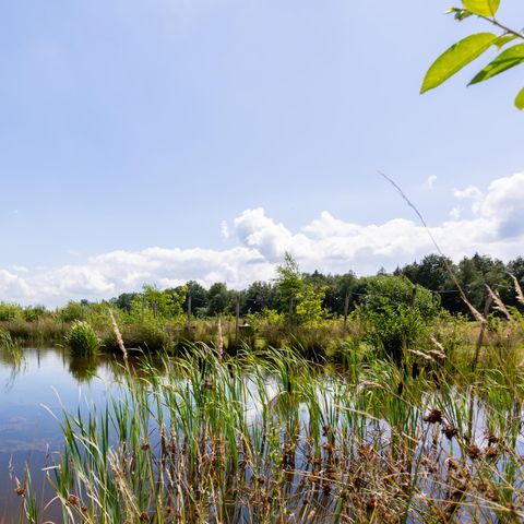 UNIEKE ACCOMMODATIE 2 personen - met vlonder