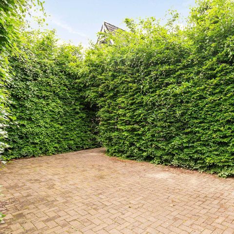 Villa 6 personen - Bos Lariks