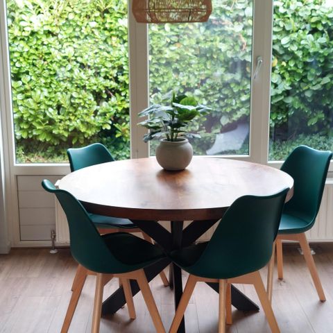 Bungalow 4 personen - Dopheide