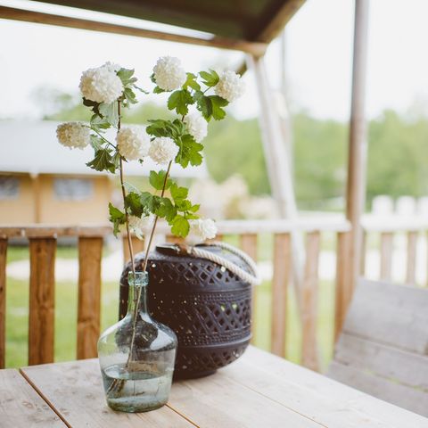 Safaritent 6 personen - incl. sanitair